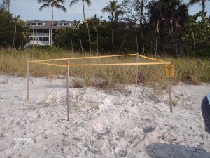 Marked-off for protection